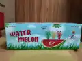 Water Melon (TANK FW)